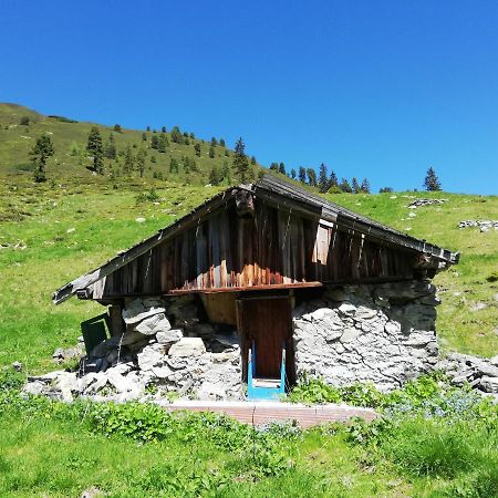 Appartment Moser Alpbach Dış mekan fotoğraf
