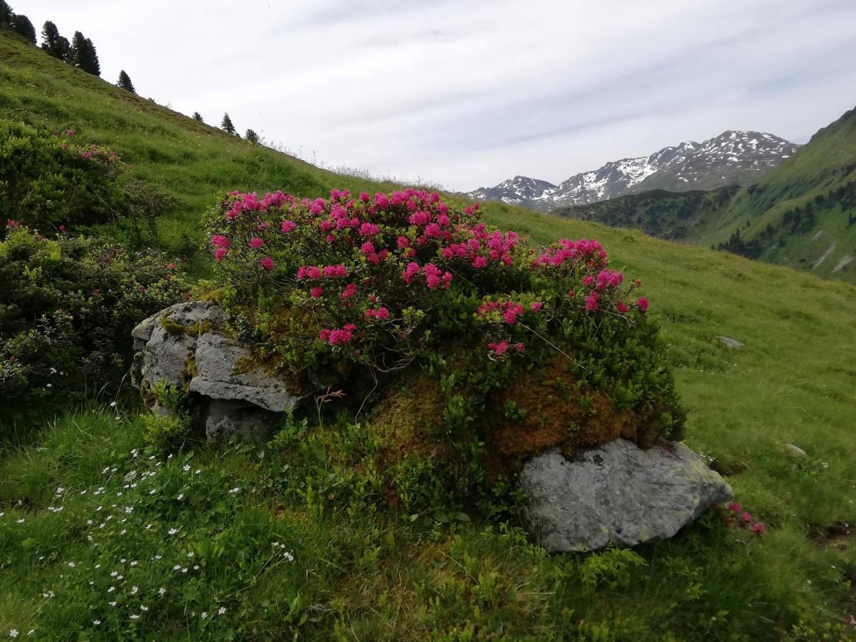 Appartment Moser Alpbach Dış mekan fotoğraf