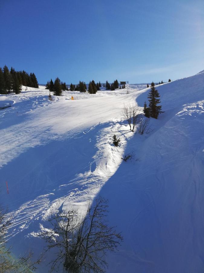 Appartment Moser Alpbach Dış mekan fotoğraf