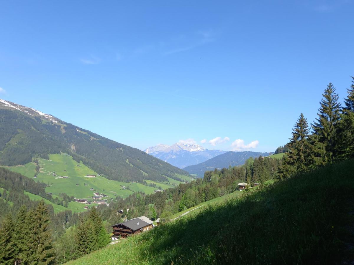 Appartment Moser Alpbach Dış mekan fotoğraf