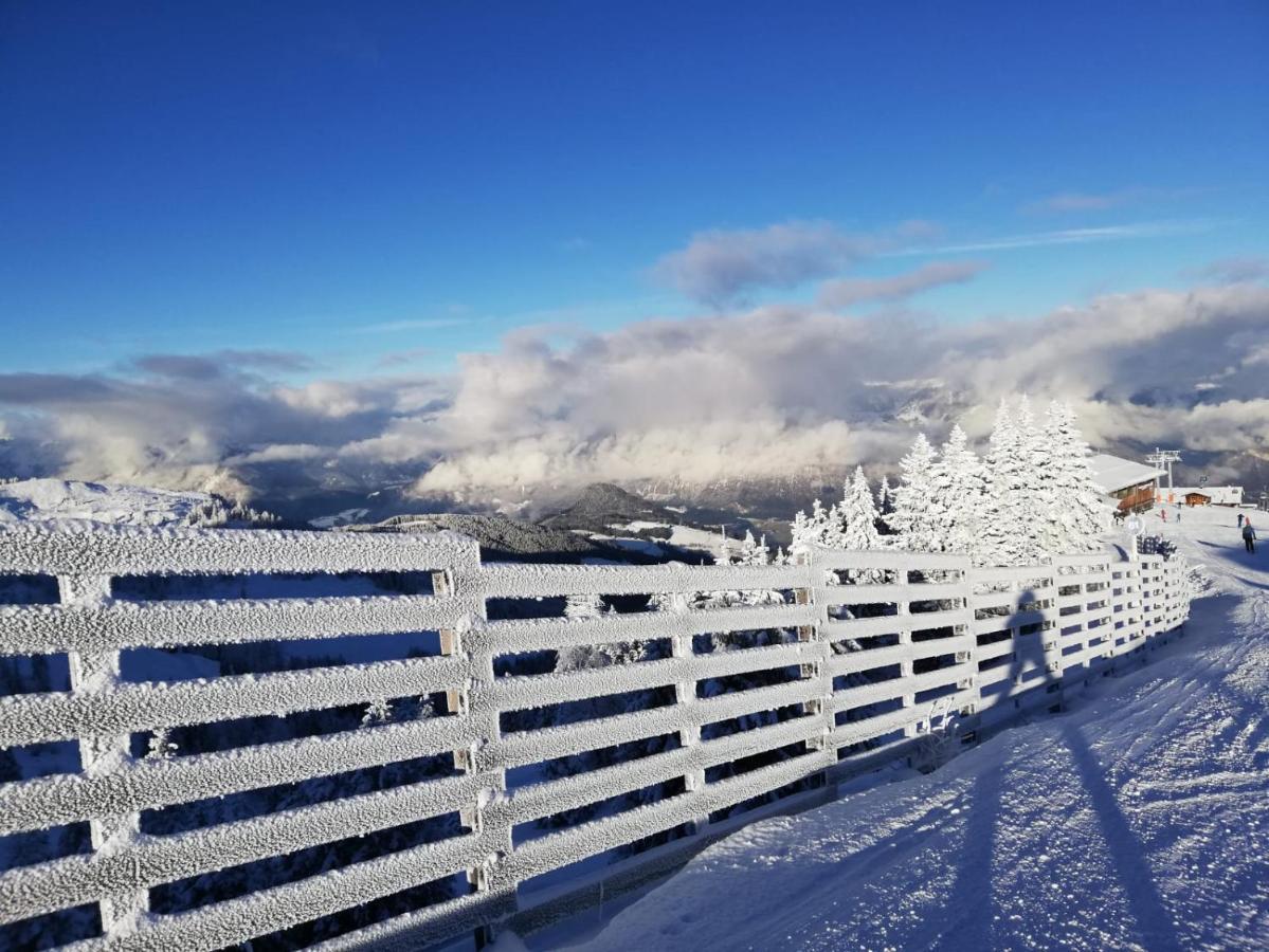 Appartment Moser Alpbach Dış mekan fotoğraf